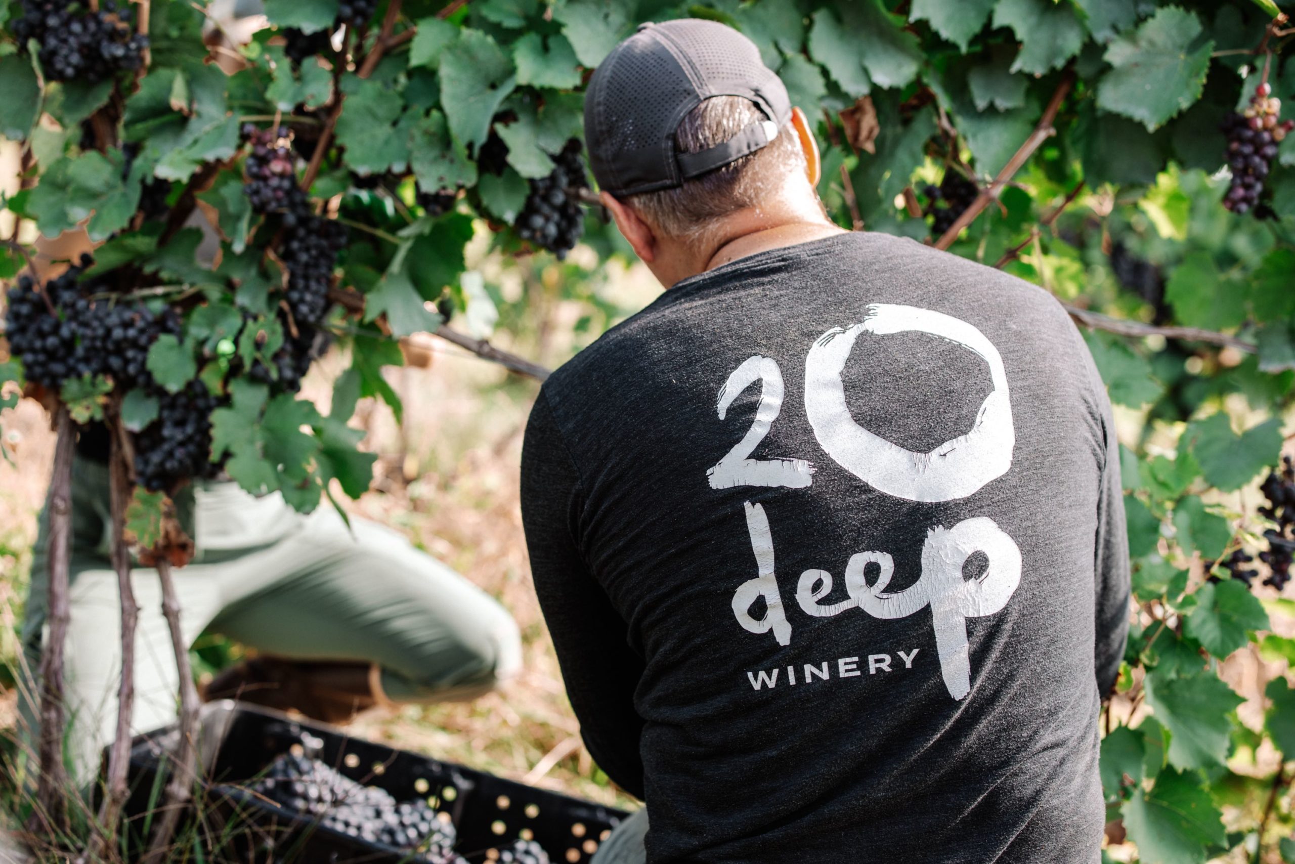 20 deep winery Sip Club event