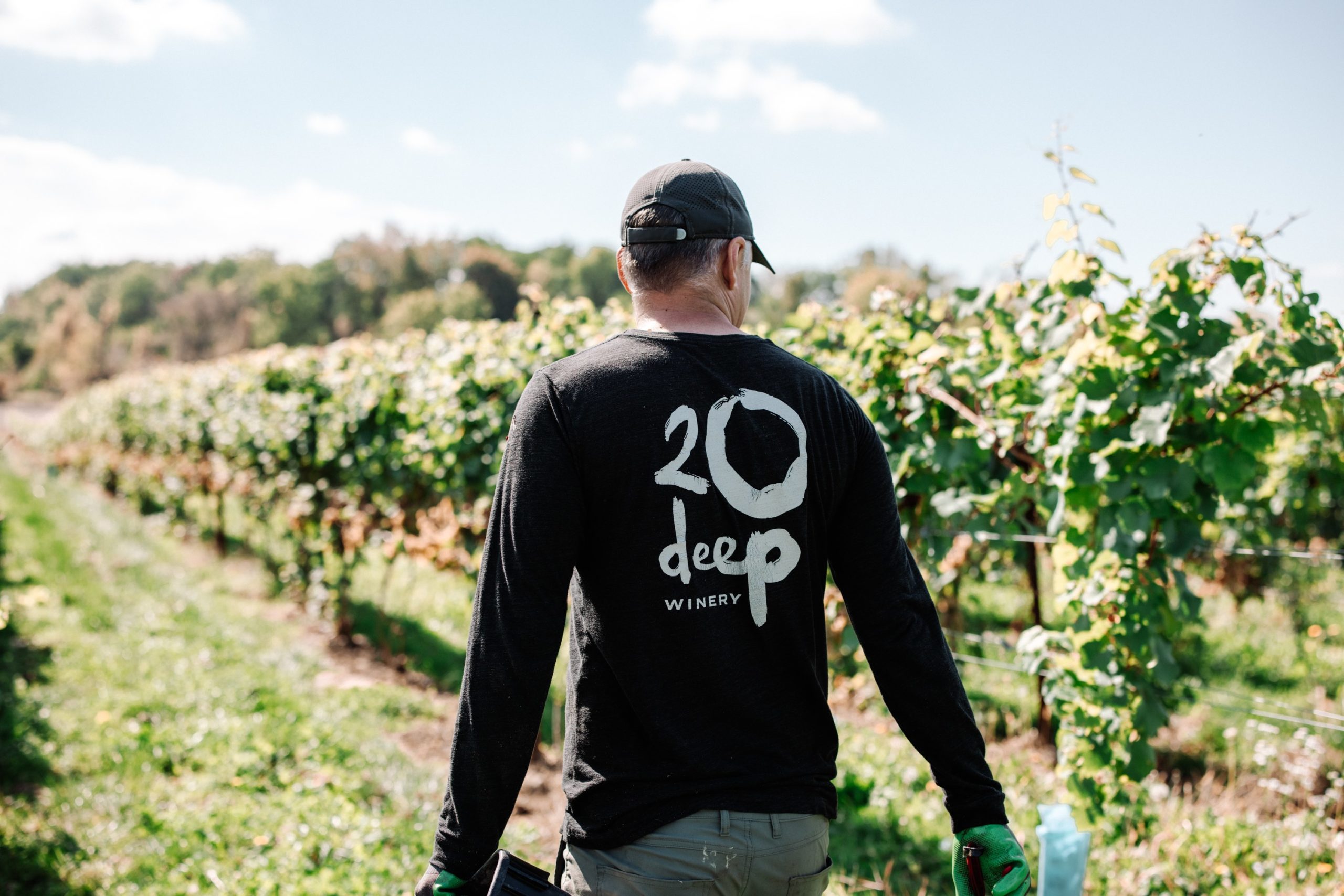 20 Deep Winery Vineyard